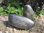 Polished Basalt Pharaoh Stone Free Forms x 12 From Iron Duke Mine, Zimbabwe