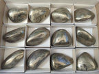 Polished Basalt Pharaoh Stone Free Forms x 12 From Iron Duke Mine, Zimbabwe
