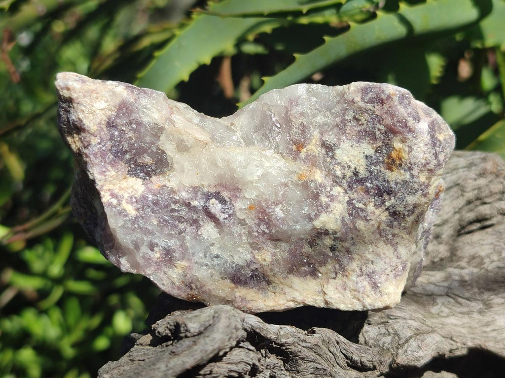 Natural Lepidolite Cobbed Specimens x 12 From Zimbabwe