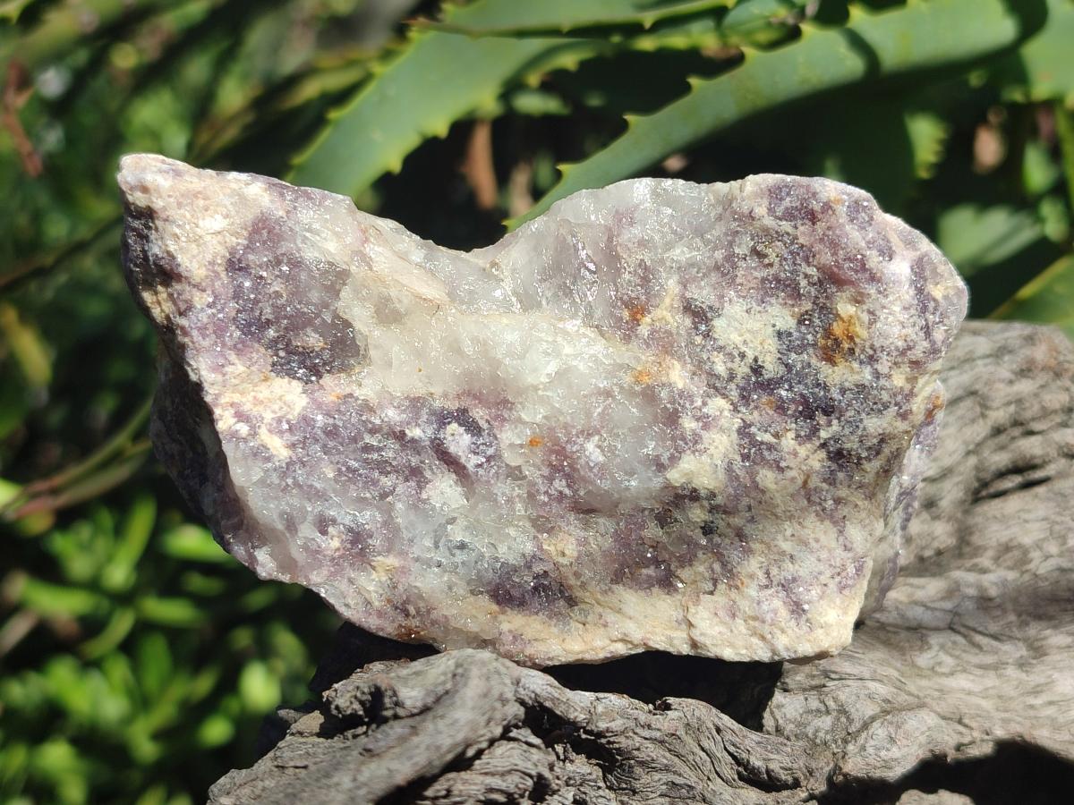 Natural Lepidolite Cobbed Specimens x 12 From Zimbabwe