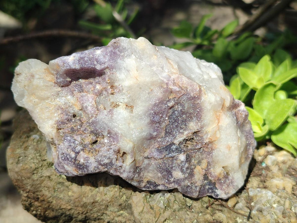 Natural Lepidolite Cobbed Specimens x 12 From Zimbabwe