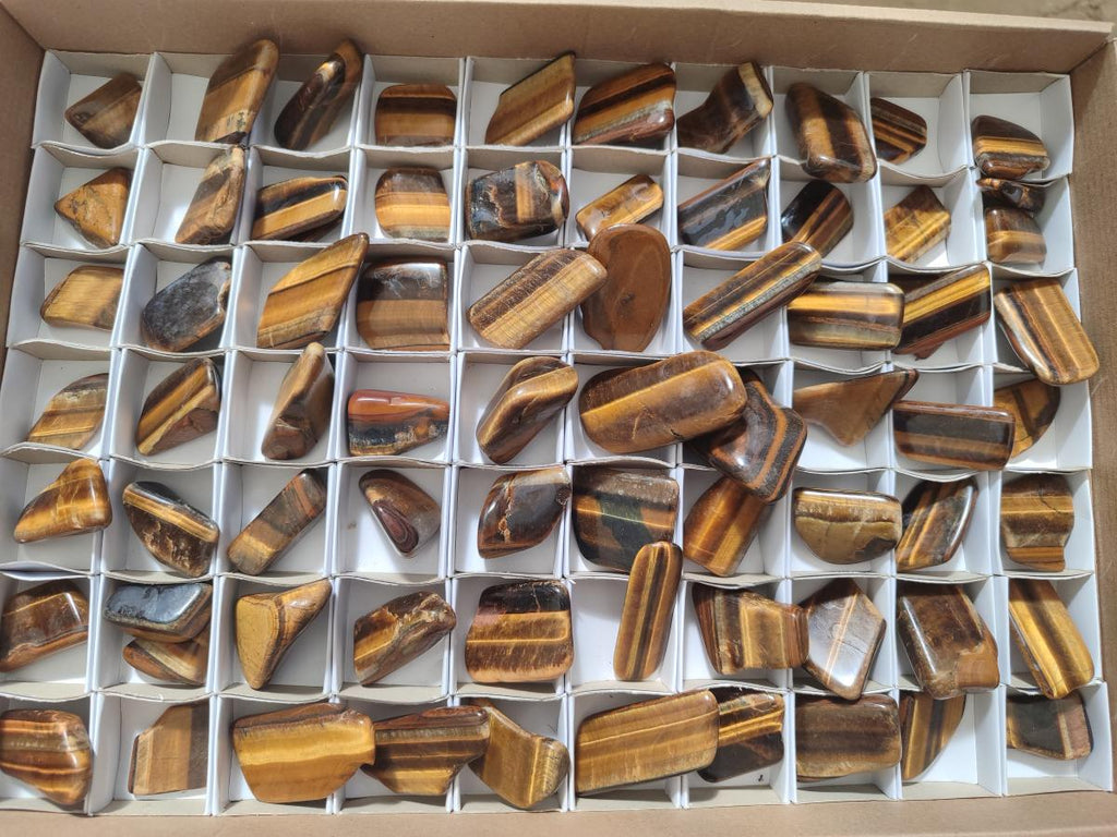 Polished Golden Tigers Eye Sliced Free Forms x 73 From Prieska, South Africa