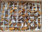 Polished Golden Tigers Eye Sliced Free Forms x 73 From Prieska, South Africa