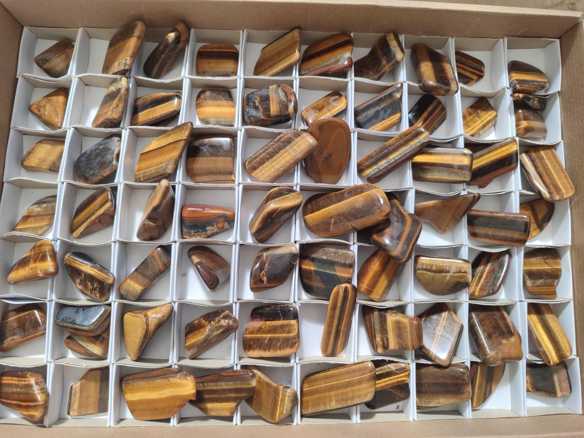 Polished Golden Tigers Eye Sliced Free Forms x 73 From Prieska, South Africa