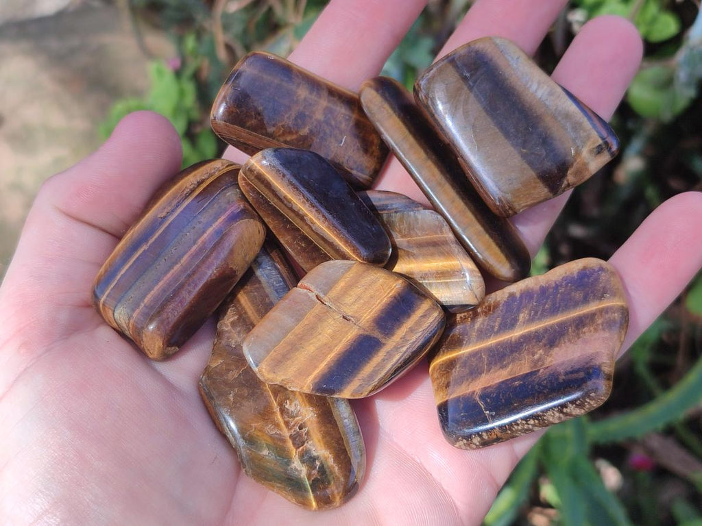 Polished Golden Tigers Eye Sliced Free Forms x 73 From Prieska, South Africa