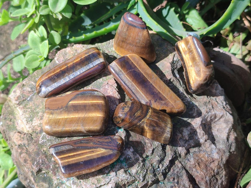 Polished Golden Tigers Eye Sliced Free Forms x 73 From Prieska, South Africa
