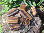 Polished Golden Tigers Eye Sliced Free Forms x 73 From Prieska, South Africa
