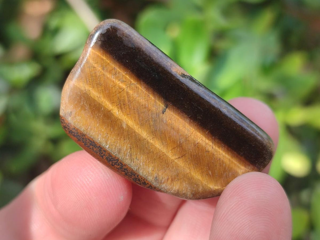 Polished Golden Tigers Eye Sliced Free Forms x 73 From Prieska, South Africa