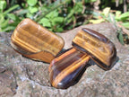 Polished Golden Tigers Eye Sliced Free Forms x 73 From Prieska, South Africa
