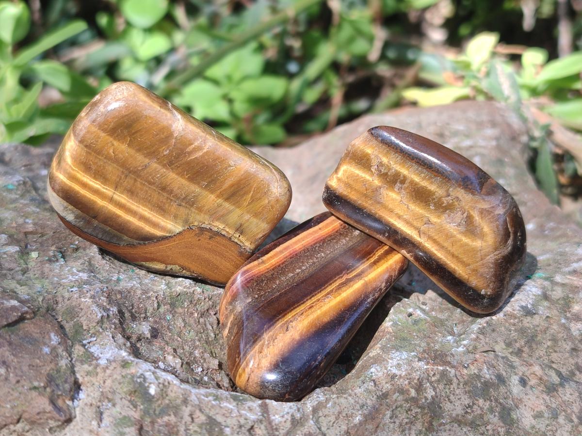 Polished Golden Tigers Eye Sliced Free Forms x 73 From Prieska, South Africa