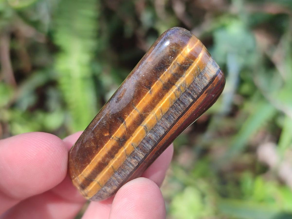 Polished Golden Tigers Eye Sliced Free Forms x 73 From Prieska, South Africa