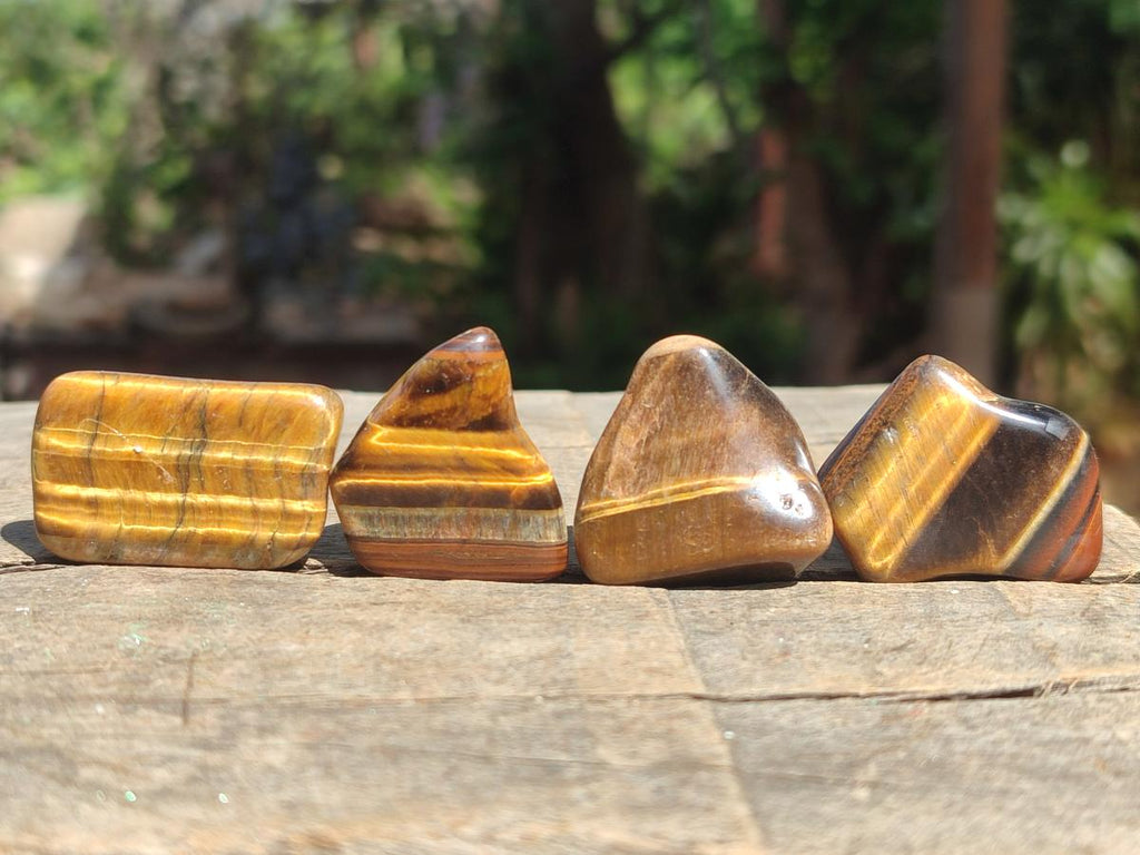 Polished Golden Tigers Eye Sliced Free Forms x 73 From Prieska, South Africa