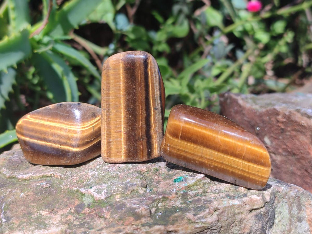 Polished Golden Tigers Eye Sliced Free Forms x 73 From Prieska, South Africa