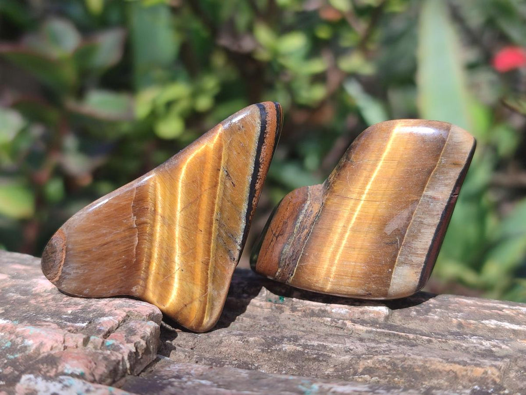 Polished Golden Tigers Eye Sliced Free Forms x 73 From Prieska, South Africa