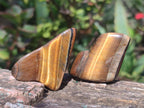 Polished Golden Tigers Eye Sliced Free Forms x 73 From Prieska, South Africa