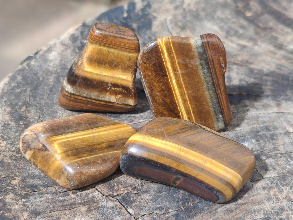 Polished Golden Tigers Eye Sliced Free Forms x 73 From Prieska, South Africa