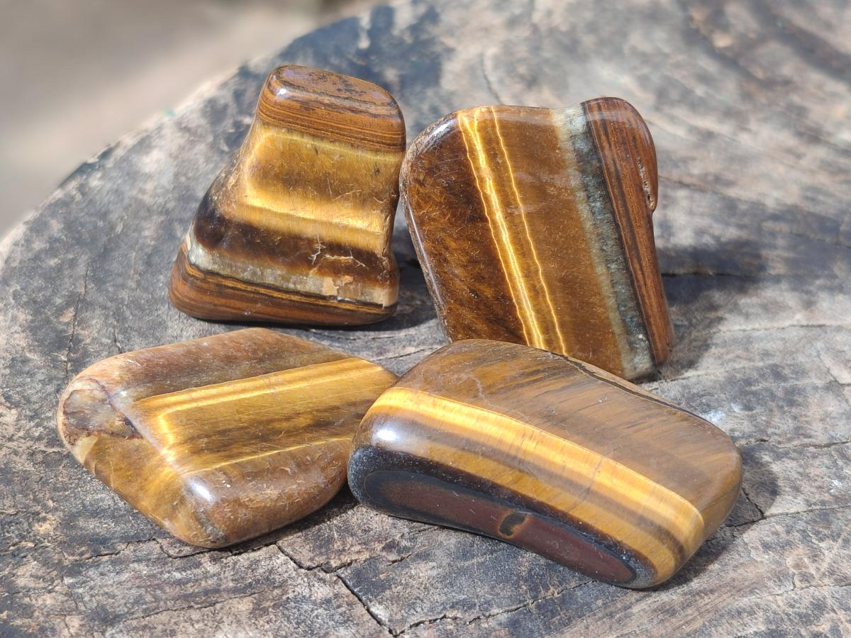 Polished Golden Tigers Eye Sliced Free Forms x 73 From Prieska, South Africa