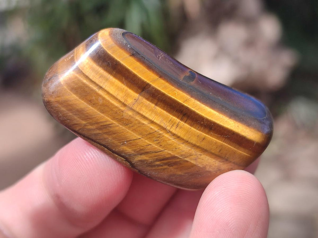 Polished Golden Tigers Eye Sliced Free Forms x 73 From Prieska, South Africa