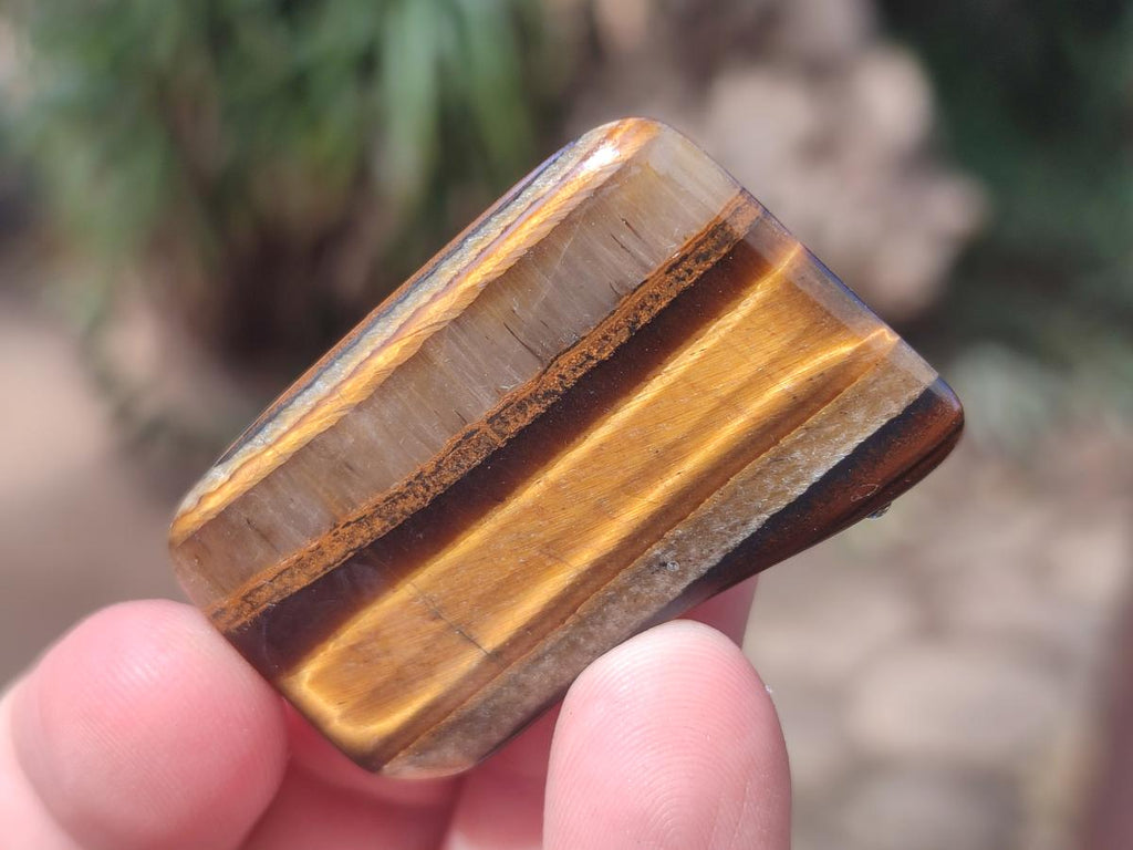 Polished Golden Tigers Eye Sliced Free Forms x 73 From Prieska, South Africa