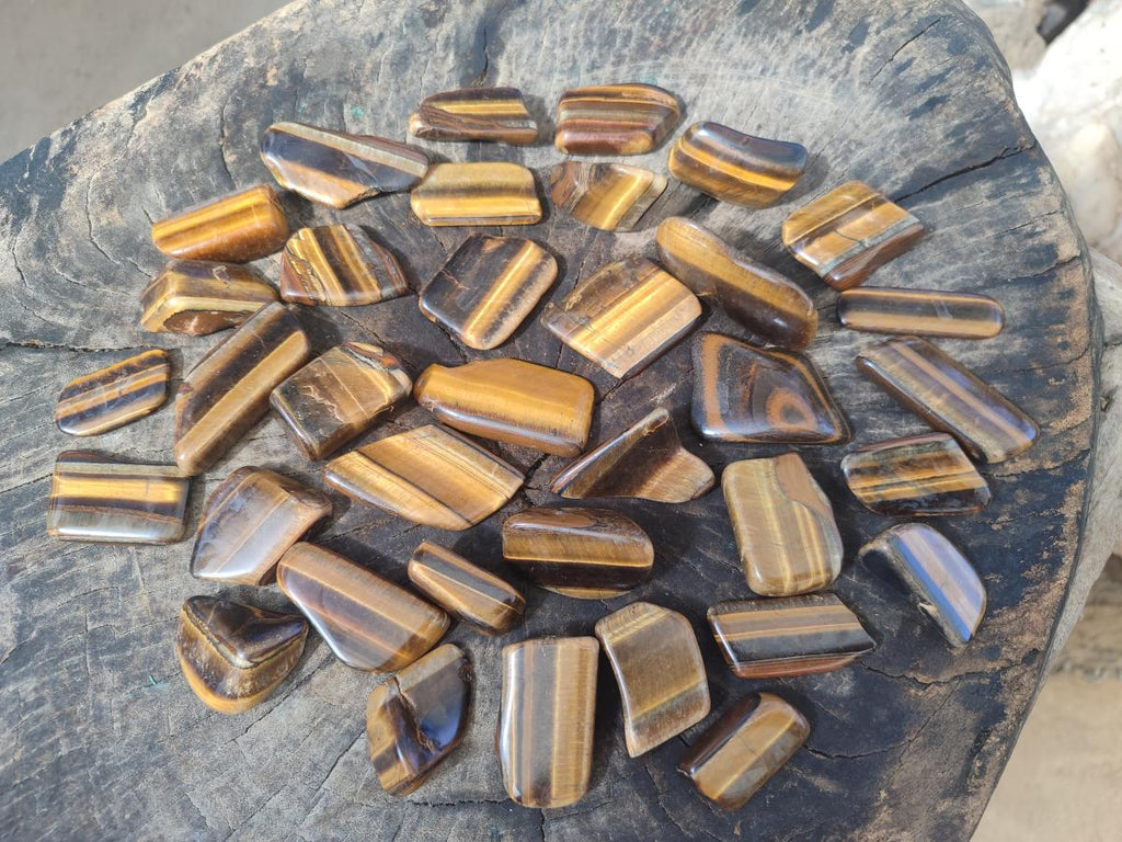 Polished Golden Tigers Eye Sliced Free Forms x 73 From Prieska, South Africa