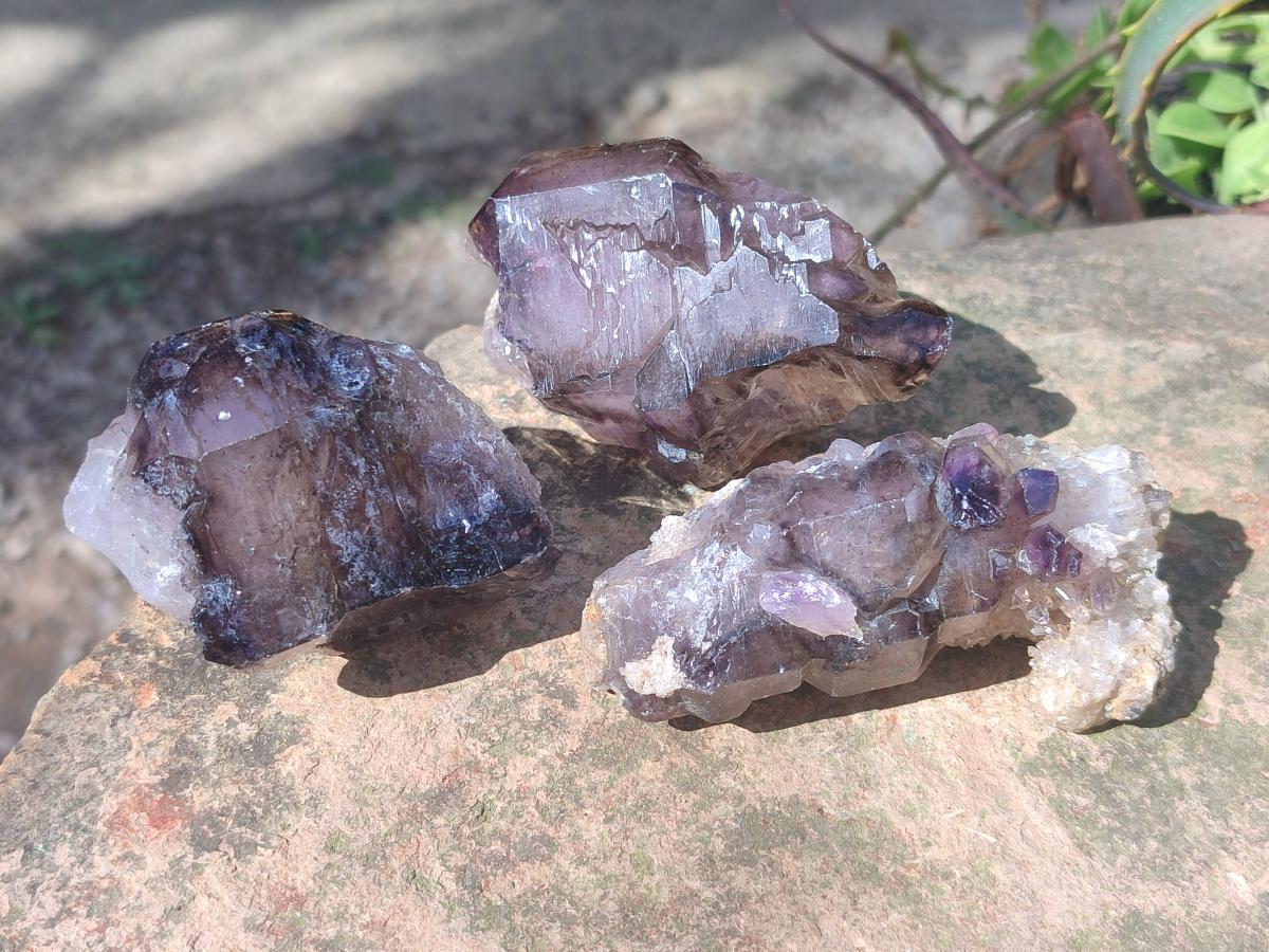 Natural Smokey Window Amethyst Crystals x 24 From Chiredzi, Zimbabwe