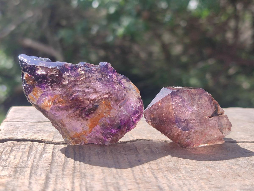 Natural Smokey Window Amethyst Crystals x 24 From Chiredzi, Zimbabwe