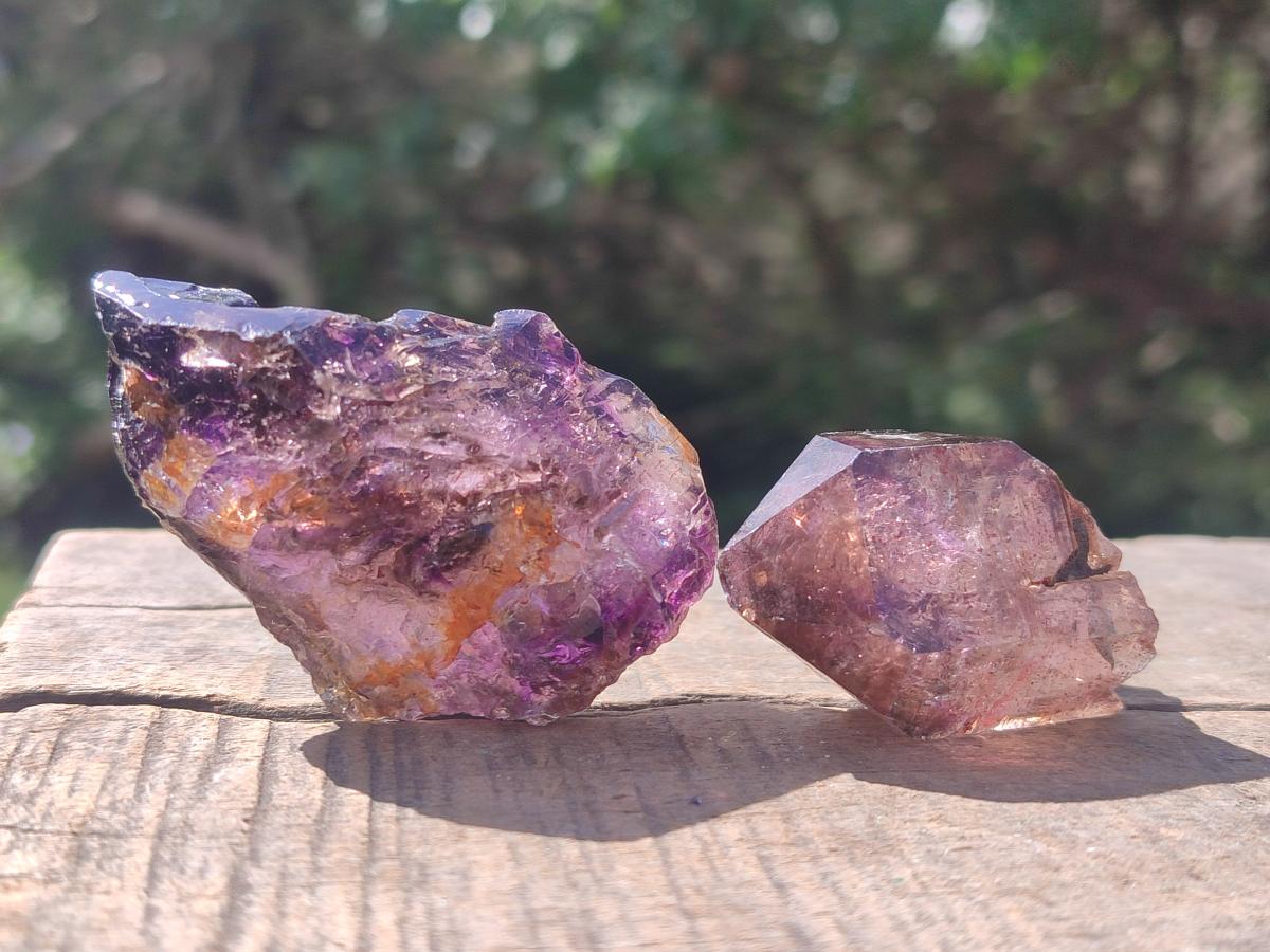 Natural Smokey Window Amethyst Crystals x 24 From Chiredzi, Zimbabwe