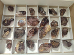 Natural Smokey Window Amethyst Crystals x 24 From Chiredzi, Zimbabwe