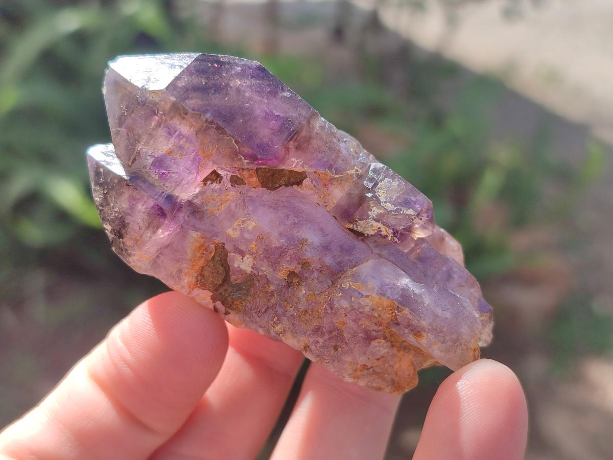 Natural Smokey Window Amethyst Crystals x 24 From Chiredzi, Zimbabwe