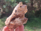 Natural Cascading Citrine Quartz Clusters x 2 From Luena, Congo