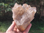 Natural Cascading Citrine Quartz Clusters x 2 From Luena, Congo