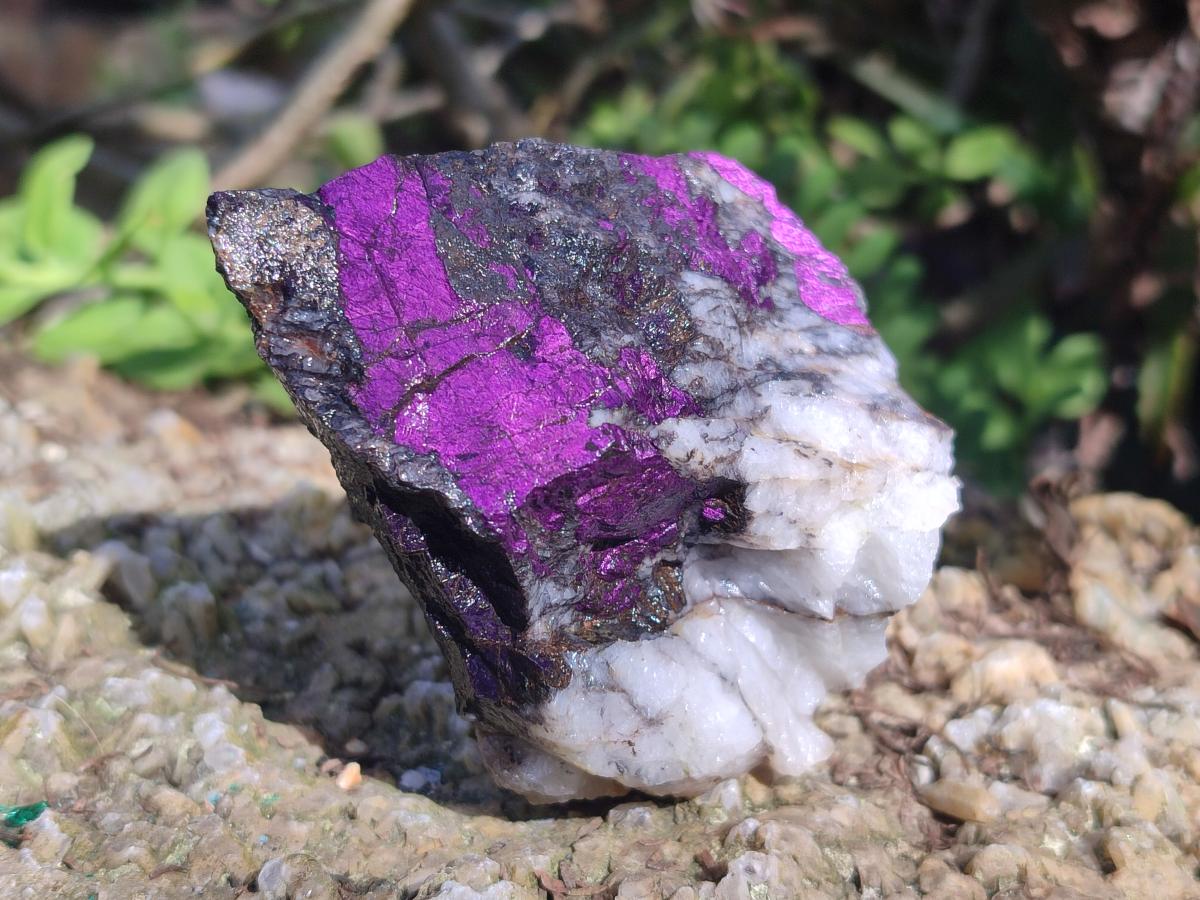 Natural Metallic Cobbed Purpurite Specimens x 6 From Erongo, Namibia