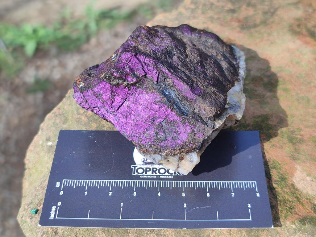 Natural Metallic Cobbed Purpurite Specimens x 6 From Erongo, Namibia