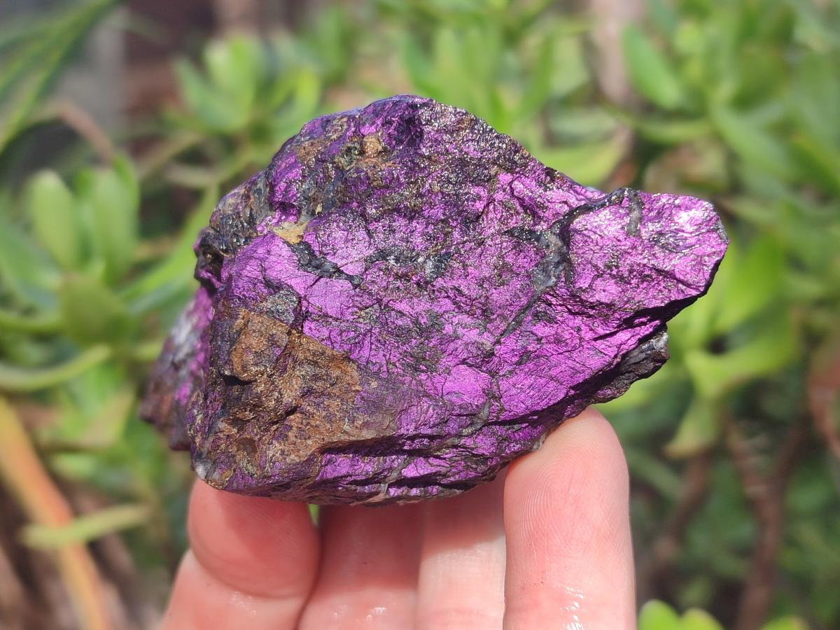 Natural Metallic Cobbed Purpurite Specimens x 6 From Erongo, Namibia