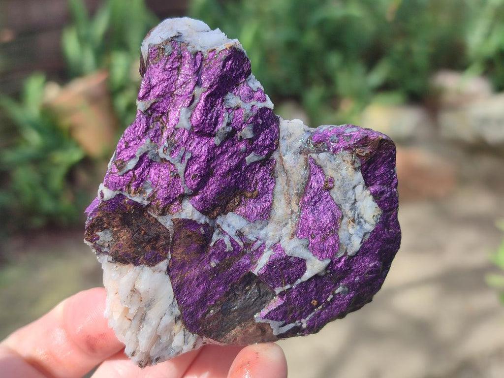 Natural Metallic Cobbed Purpurite Specimens x 6 From Erongo, Namibia