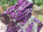 Natural Metallic Cobbed Purpurite Specimens x 6 From Erongo, Namibia
