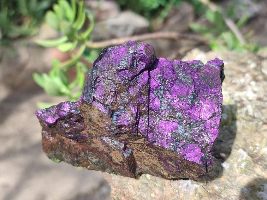 Natural Metallic Cobbed Purpurite Specimens x 6 From Erongo, Namibia