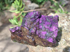 Natural Metallic Cobbed Purpurite Specimens x 6 From Erongo, Namibia