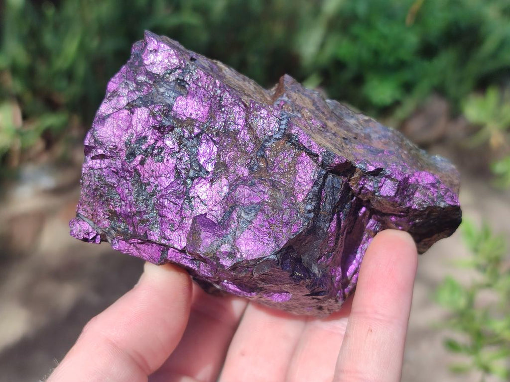 Natural Metallic Cobbed Purpurite Specimens x 6 From Erongo, Namibia
