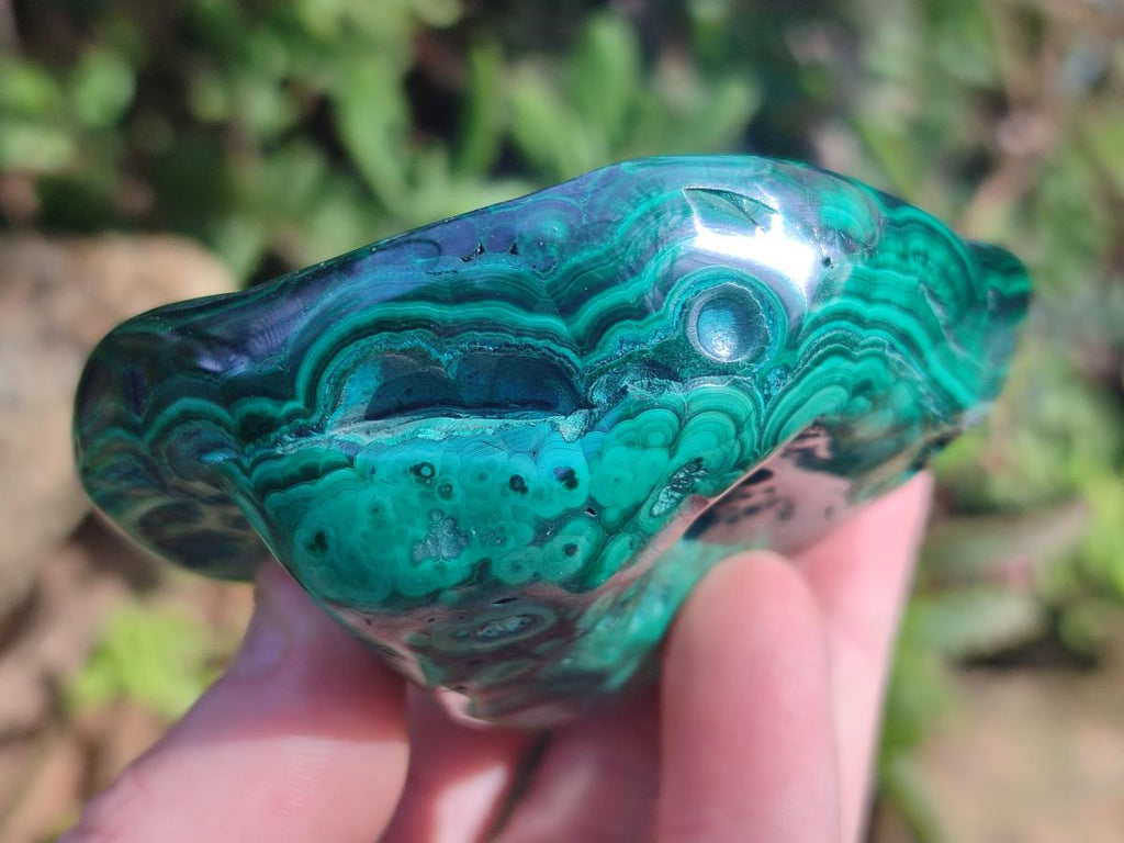 Polished and Natural Flower Banded Malachite Palm Size Free Forms x 6 From Congo
