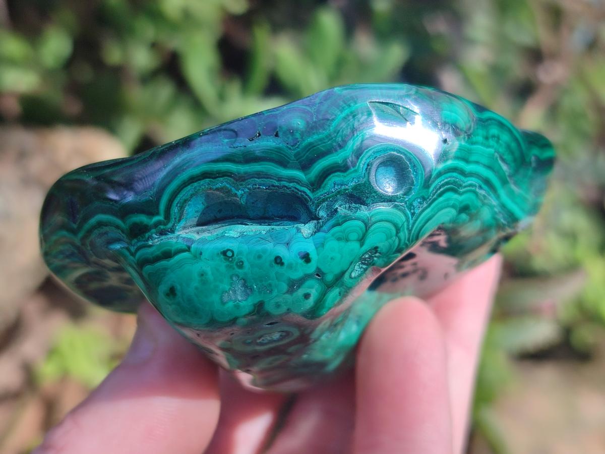 Polished and Natural Flower Banded Malachite Palm Size Free Forms x 6 From Congo
