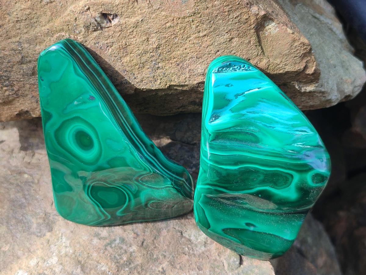 Polished and Natural Flower Banded Malachite Palm Size Free Forms x 6 From Congo