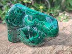 Polished and Natural Flower Banded Malachite Palm Size Free Forms x 6 From Congo