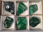 Polished and Natural Flower Banded Malachite Palm Size Free Forms x 6 From Congo