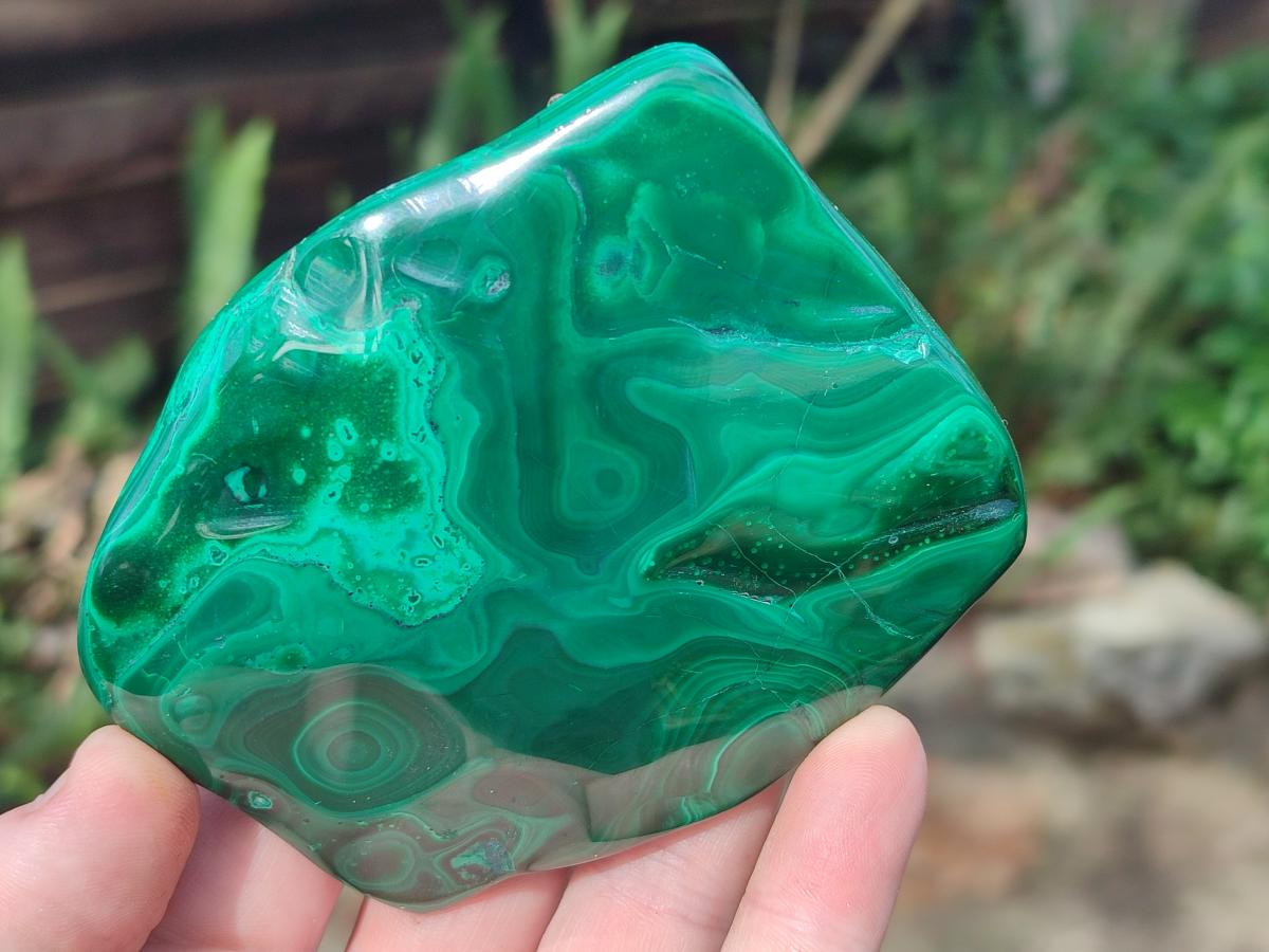 Polished and Natural Flower Banded Malachite Palm Size Free Forms x 6 From Congo