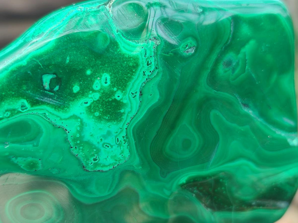 Polished and Natural Flower Banded Malachite Palm Size Free Forms x 6 From Congo