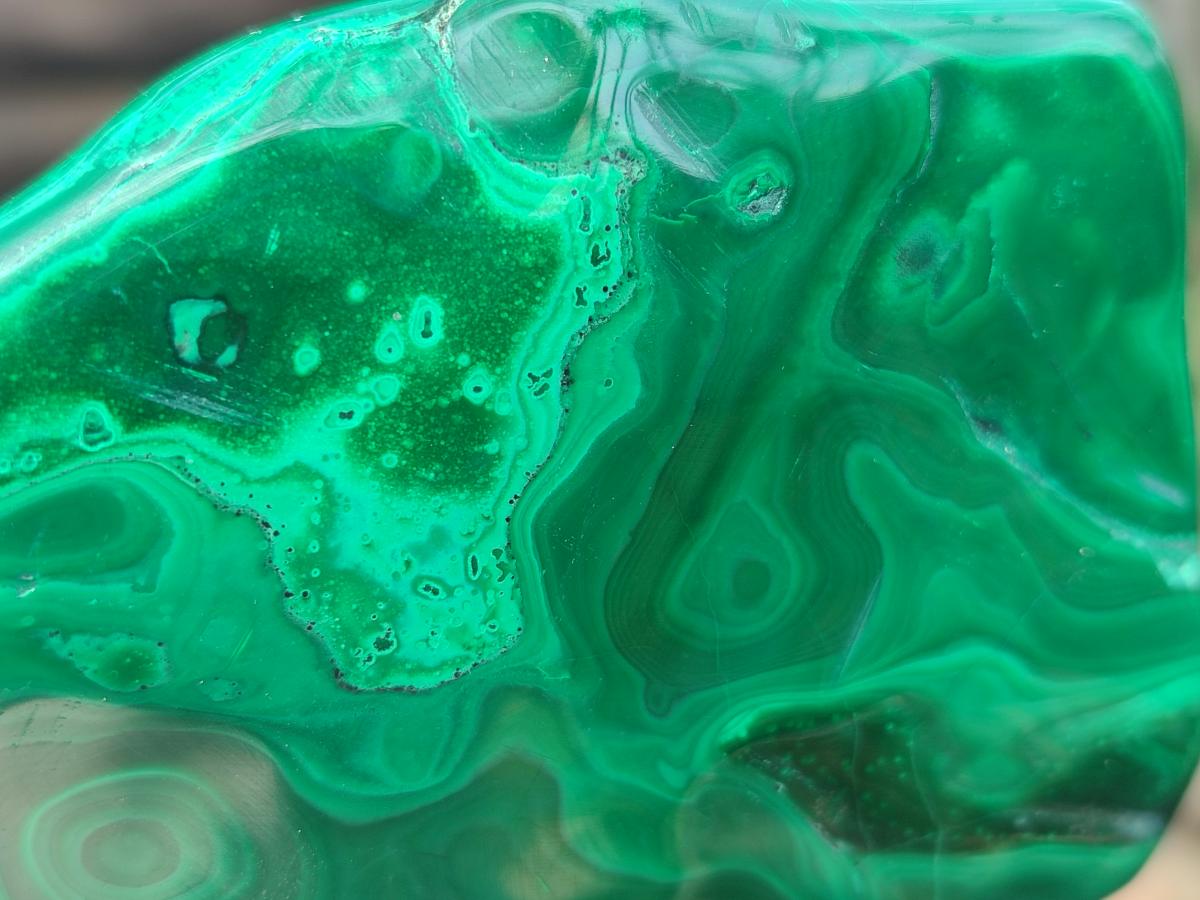 Polished and Natural Flower Banded Malachite Palm Size Free Forms x 6 From Congo
