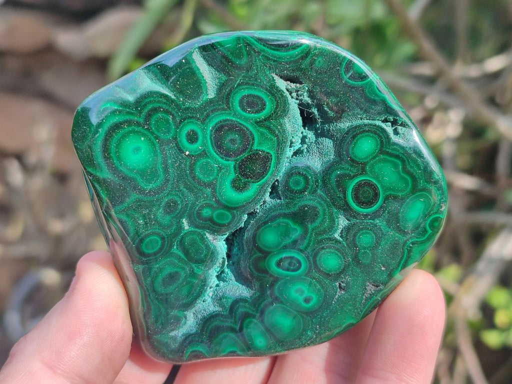 Polished and Natural Flower Banded Malachite Palm Size Free Forms x 6 From Congo