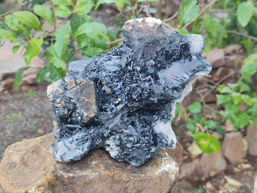 Natural Large Smokey Quartz Cluster with Terminated Black Tourmaline x 1 From Erongo, Namibia