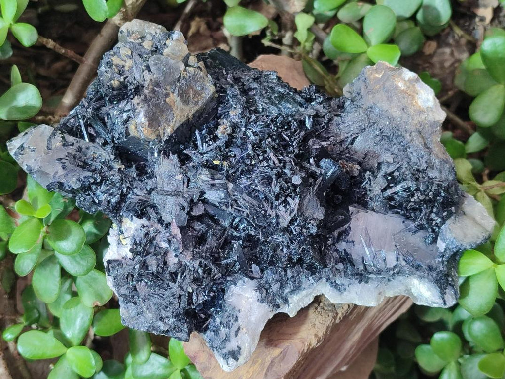 Natural Large Smokey Quartz Cluster with Terminated Black Tourmaline x 1 From Erongo, Namibia